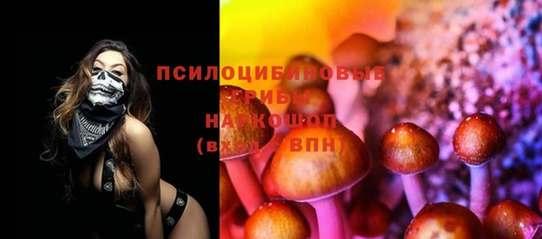 бошки Арсеньев