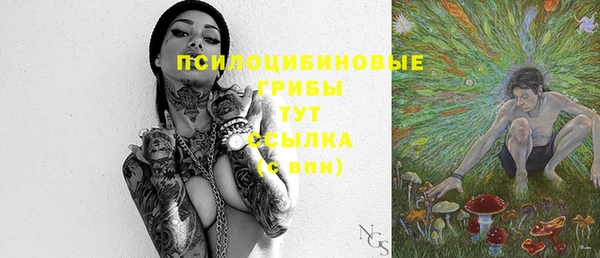бошки Арсеньев