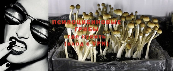 таблы Слюдянка