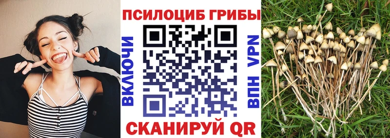 купить цена Армянск Галлюциногенные грибы ЛСД